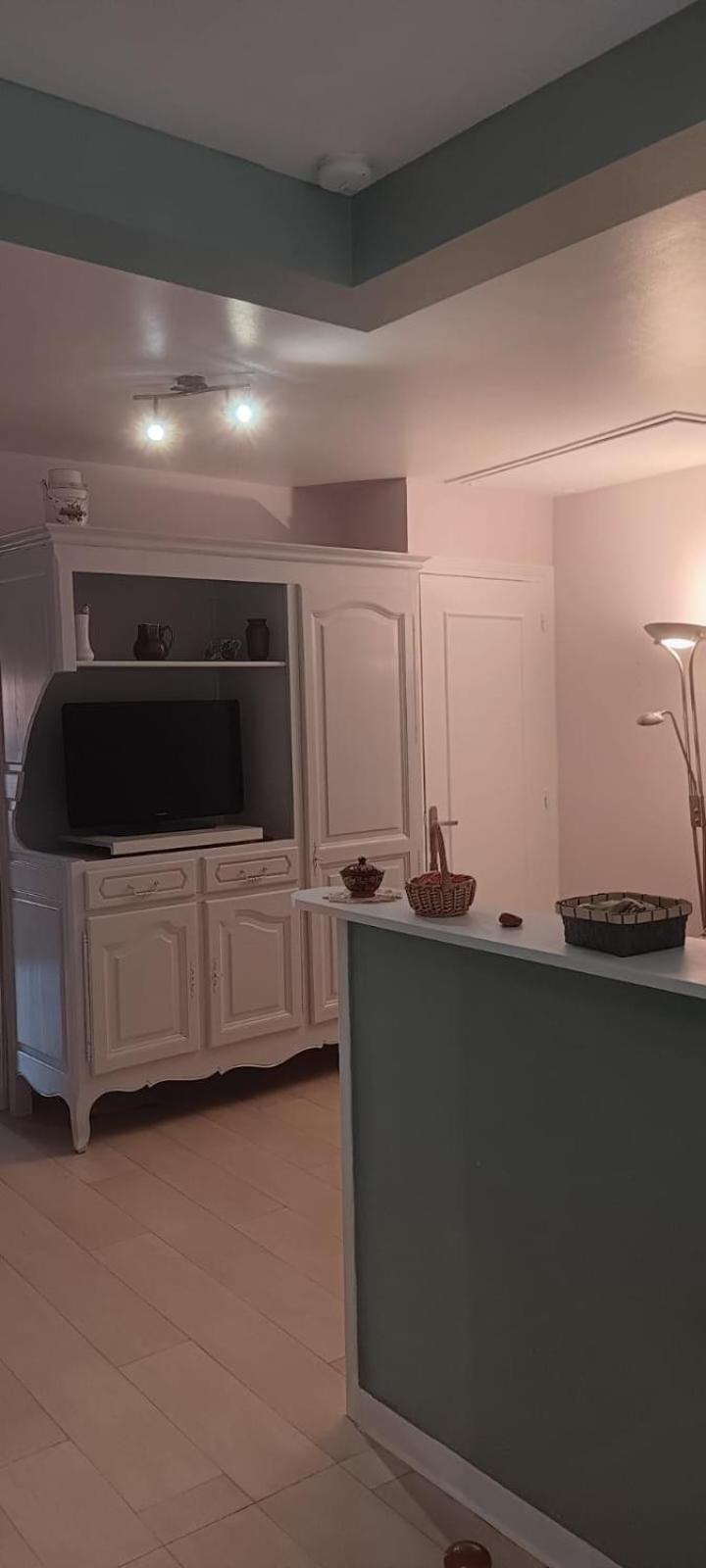 Appartement 120 M² Duplex Coeur Historique Au Calme Le Puy-en-Velay Ngoại thất bức ảnh